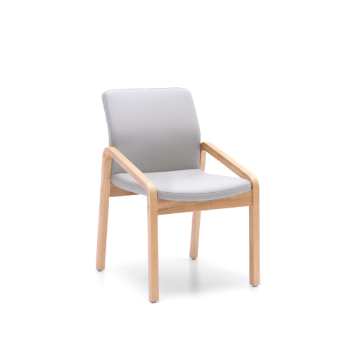 Exam Couches