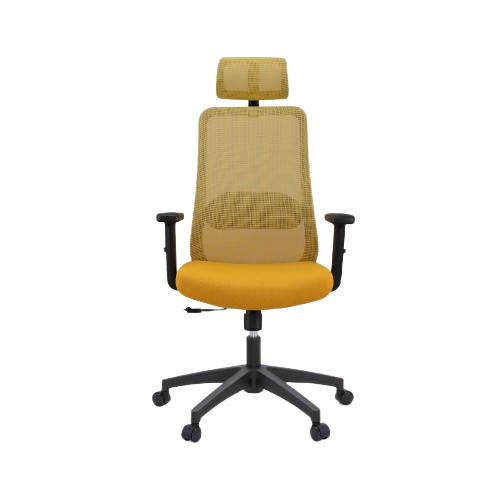 Doctor Chair