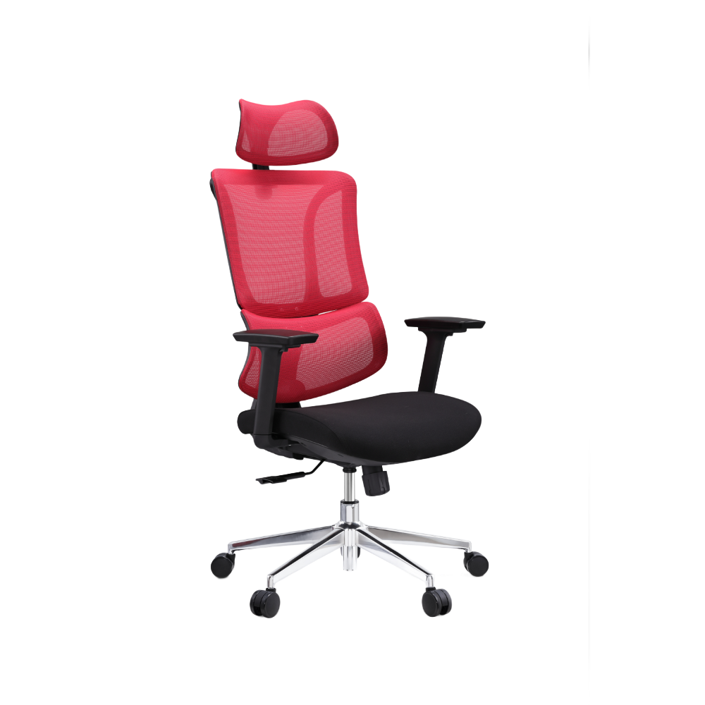 Doctor Chair