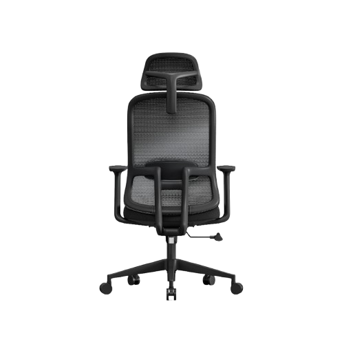 Doctor Chair